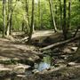 Grovelands Park