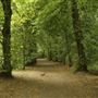 Hampstead Heath