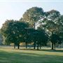 Hyde Park