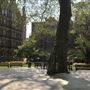 Mount Street Gardens