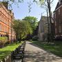 Mount Street Gardens