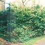 Walpole Park