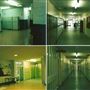 Charles Darwin School