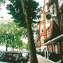 Pimlico area