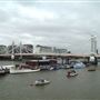 Albert Bridge
