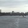 Albert Bridge