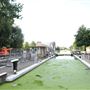 River Lee  - Dace Road
