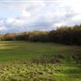Wimbledon Common