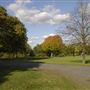 Brockwell Park
