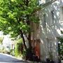 Osten Mews