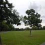 Clissold Park