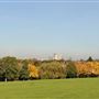Mountsfield Park
