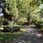 Mountsfield Park