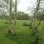 Forty Hall