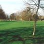 Ham Common