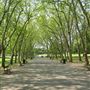 Crystal Palace Park