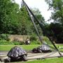 Holland Park