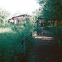 Camley Street Natural Park
