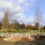 Cannizaro Park
