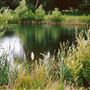 Bedfont Lakes Country Park