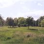 Kensington Gardens
