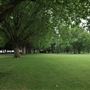 London Fields
