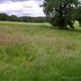 Oxleas Woods, Jack Wood and Castlewood