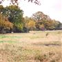 Hollow Pond