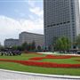 Jubilee Gardens