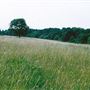 Trent Park