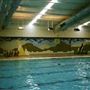 Newham Leisure Centre