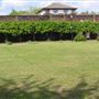 Haggerston Park