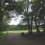 Highgate Wood