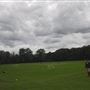 Highgate Wood