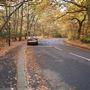 Queen's Wood