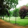 Gordon Square