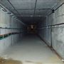 Paul's Walk Tunnel