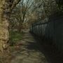 Tooting Bec Common
