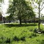 Winchmore Hill Green