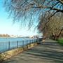 Wandsworth Park