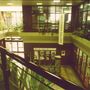 The Library at Willesden Green