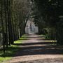 Chiswick House Grounds