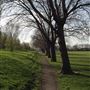 Downhills Park