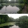 Keston Ponds