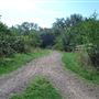 Tottenham Marshes