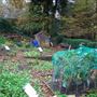 Queen's Wood Cafe