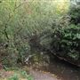 Ladywell Fields