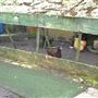 Randolph Beresford Early Years Centre
