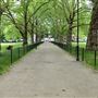 Highbury Fields