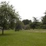 Central Park, East Ham